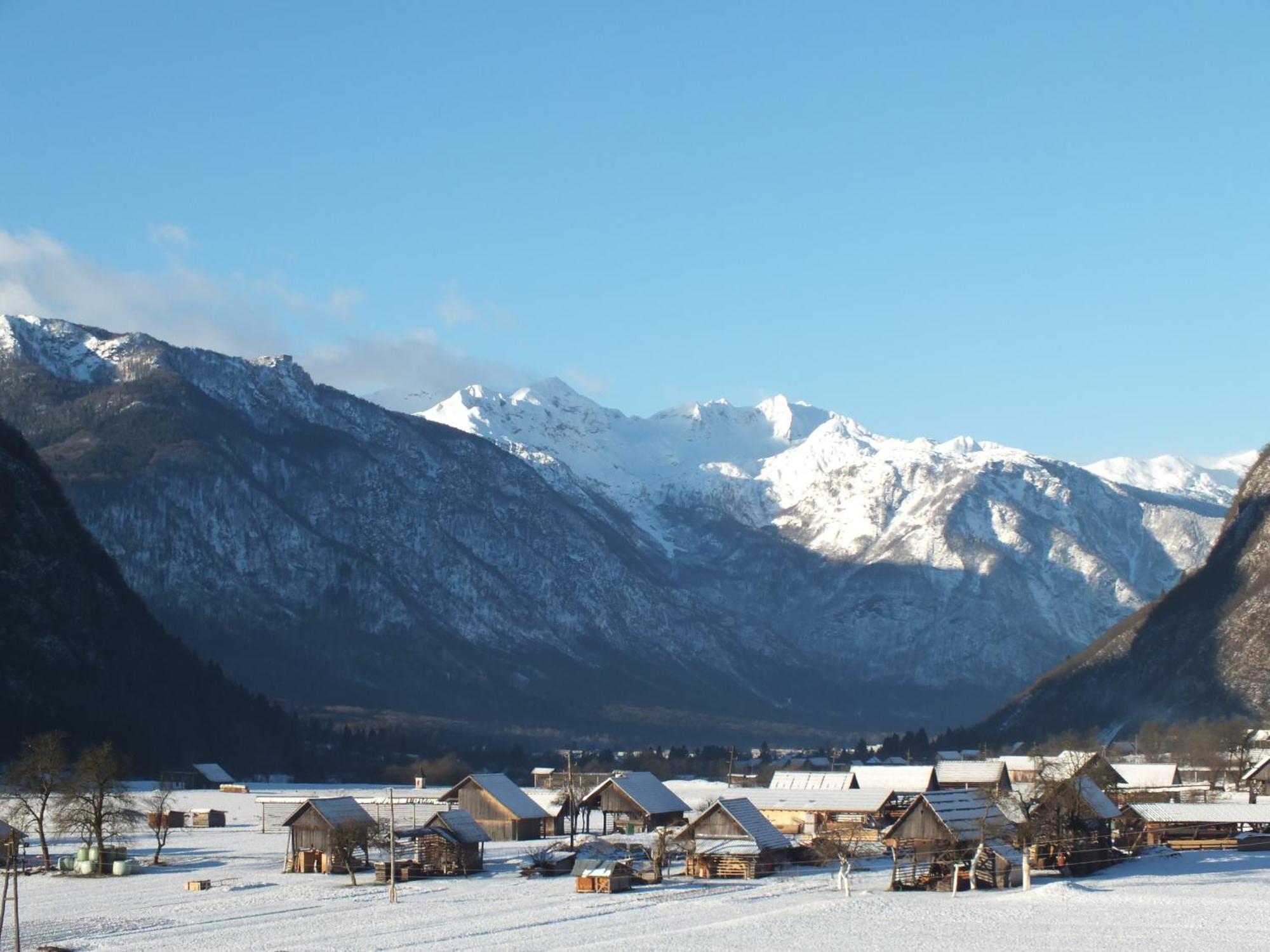Apartment Tina Bohinj