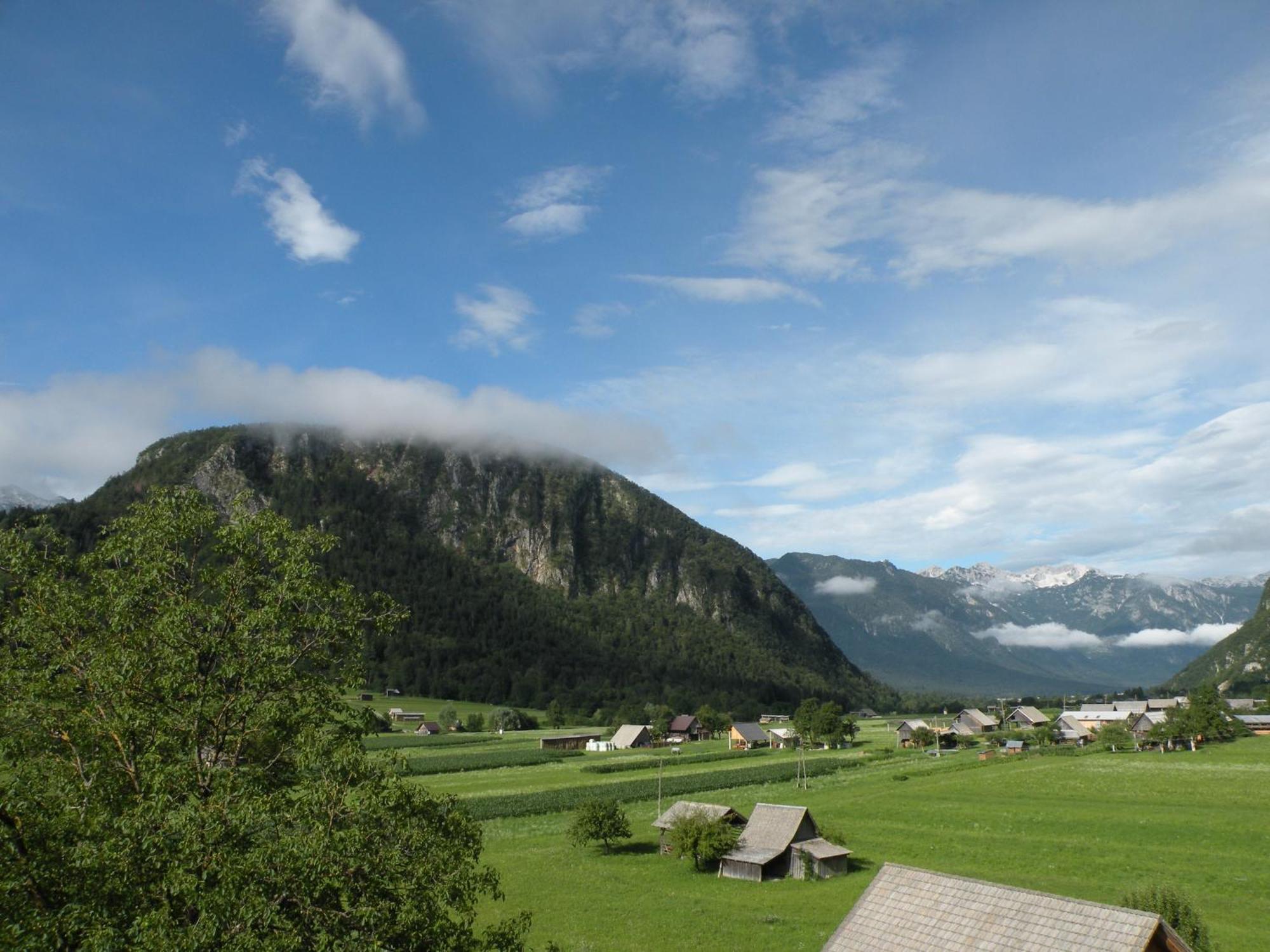 Tina * Bohinj